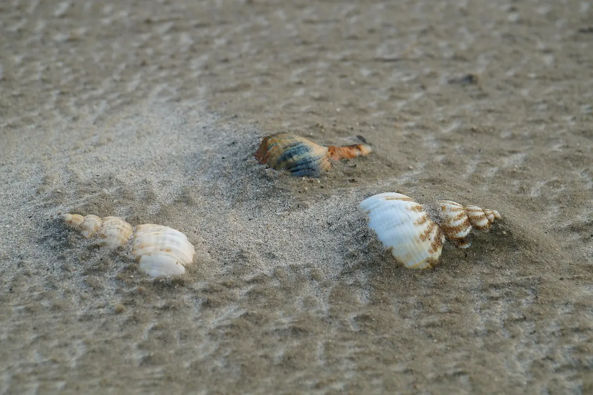 Seaside Memory Journal: Creating a British Coastal Holiday Keepsake